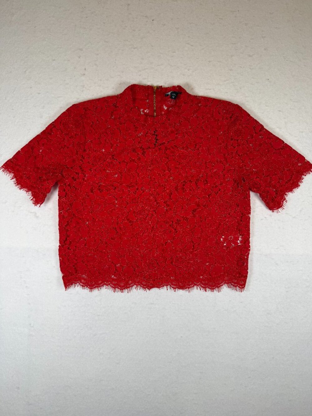 Express Sheer Lace Scalloped Red Mock Neck Cropped Blouse Size XS